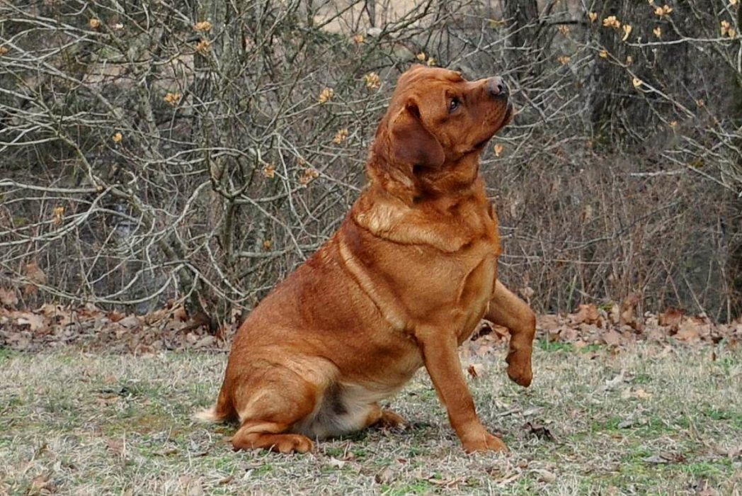 Gunther10