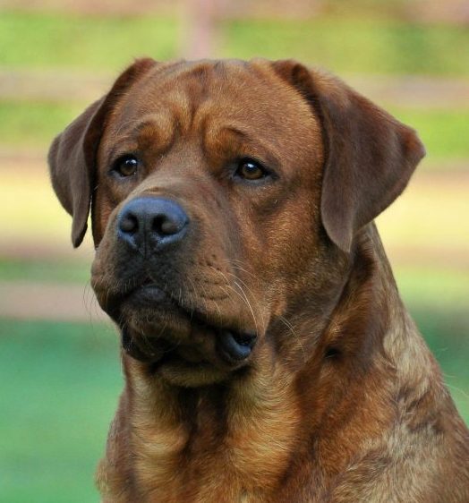 Gunther
