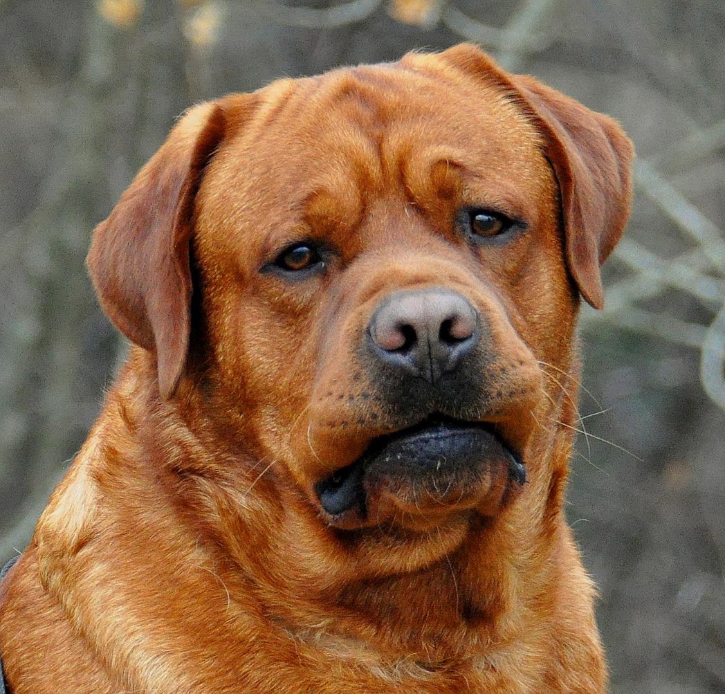 Gunther3