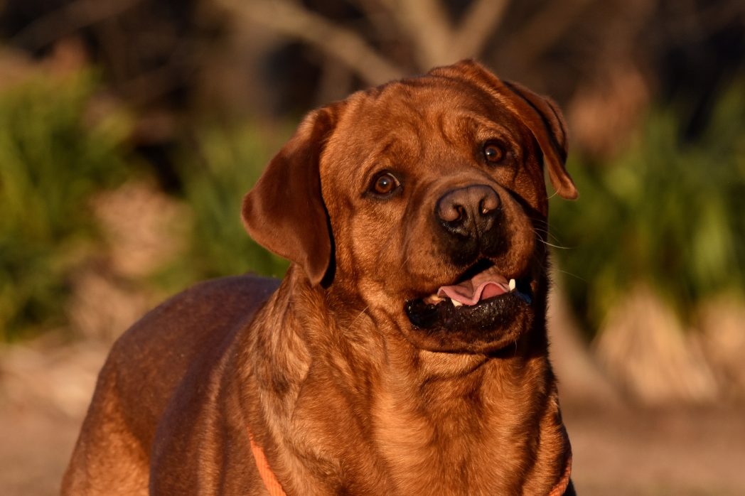 Gunther6